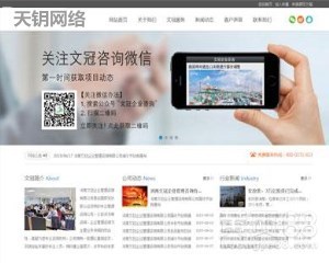 【网站建设_公众号_小程序_手机app】-天钥